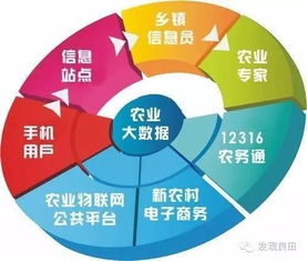 未來三年，中國農業即將步入大數據時代